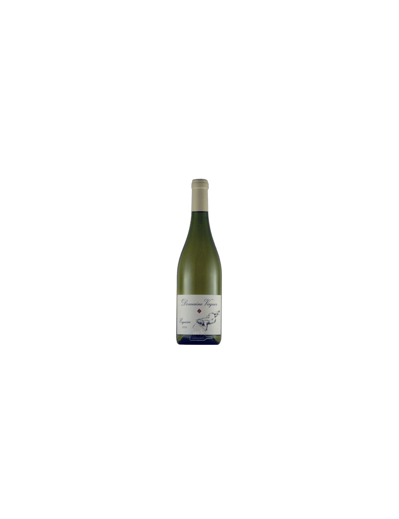 Domaine Vaquer - Esquisse blanc 2023