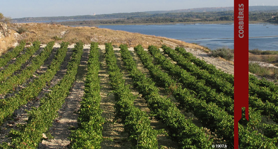 1907: Appellation Corbières - Achat Vin de Corbières Languedoc