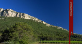 Pic Saint Loup