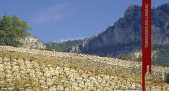 Terrasses du Larzac