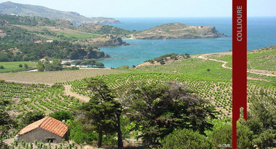 1907: Appellation Collioure - Achat Vin de Collioure - Roussillon