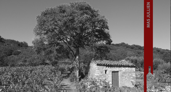 1907: Mas Jullien - Les Vins d'Olivier Jullien en Languedoc - Acheter les Vins du Mas Jullien