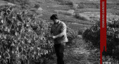 Domaine Gardiés