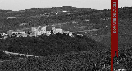 1907: Domaine de l'Aigle - Gérard Bertrand - Languedoc - Acheter les Vins du Domaine de L'Aigle
