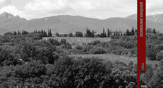 1907: Domaine Vaquer - Roussillon - Acheter les Vins du Domaine Vaquer