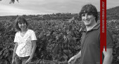 Domaine Virgile Joly