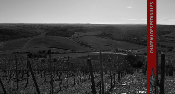 1907: Chateau des Estanilles - Faugères - Acheter les Vins du Château des Estanilles