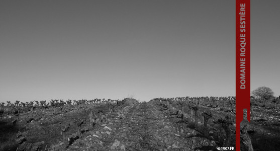 1907: Roque Sestière - Corbières - Achat Vin du Languedoc Roussillon.