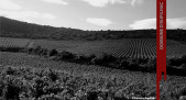 Domaine d'Aupilhac