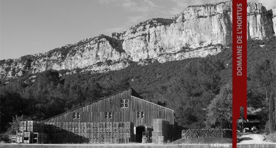 1907: Domaine de l'Hortus - Pic Saint Loup - Acheter les vins du Domaine de l'Hortus