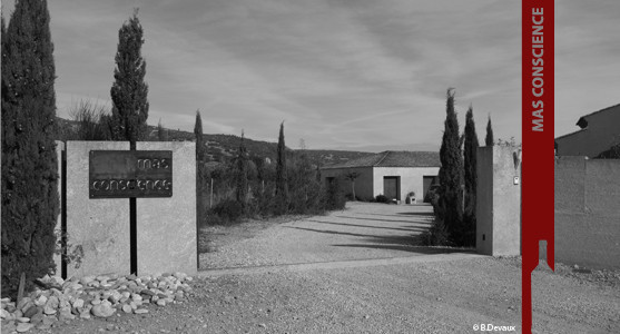 1907: Mas Conscience - Terrasses du Larzac - Acheter les vins du Mas Conscience