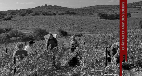 1907: Château Champ des Soeurs - Fitou - Corbières - Achat Vin Languedoc Roussillon