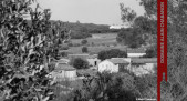 Domaine Alain Chabanon