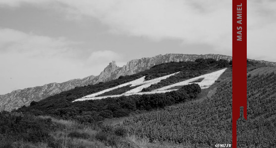 1907: Mas Amiel - Maury - Acheter les Vins du Mas Amiel