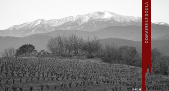 1907: Domaine le Soula - Roussillon - Acheter les Vins du Domaine du Soula