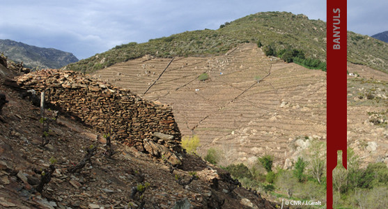 1907: VDN Banyuls - Achat Vin Doux Naturels Banyuls Roussillion